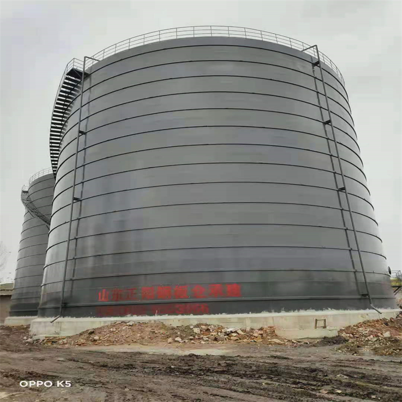 舒城3万吨大型钢板库