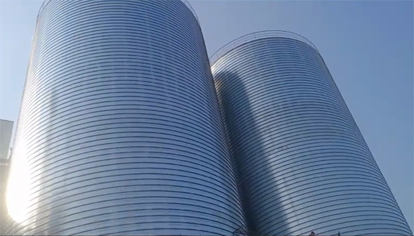 舒城2座混凝土高架卷板仓